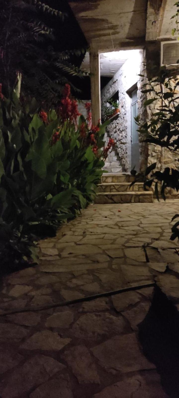 Vesna'S Dream Lägenhet Budva Exteriör bild