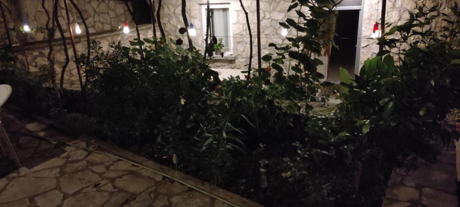 Vesna'S Dream Lägenhet Budva Exteriör bild