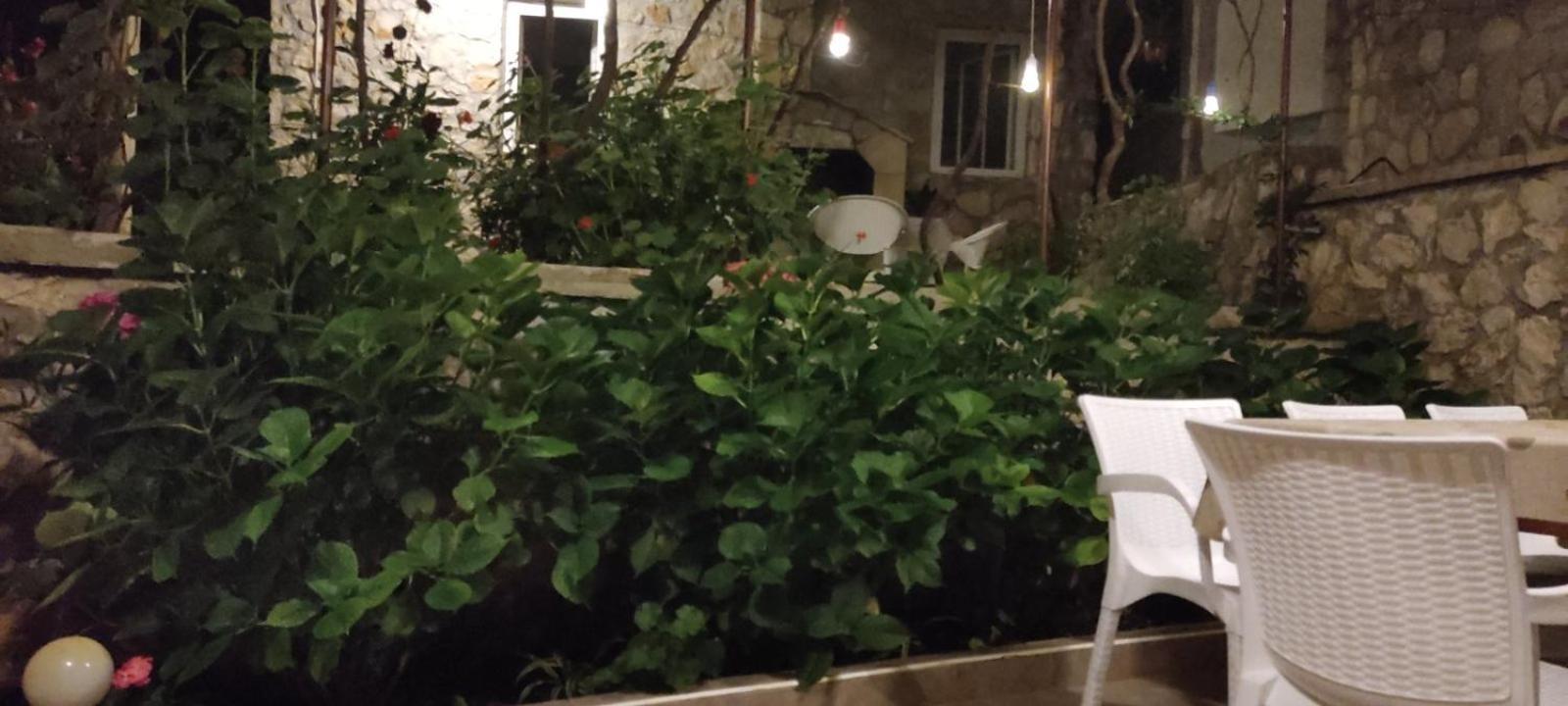 Vesna'S Dream Lägenhet Budva Exteriör bild